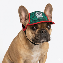 Cargar imagen en el visor de la galería, Gorra Mexico Para Mascota Seleccion Mexicana Mundial 2026 Perro o Gato
