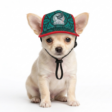 Cargar imagen en el visor de la galería, Gorra Mexico Para Mascota Seleccion Mexicana Mundial 2026 Perro o Gato
