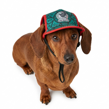 Cargar imagen en el visor de la galería, Gorra Mexico Para Mascota Seleccion Mexicana Mundial 2026 Perro o Gato
