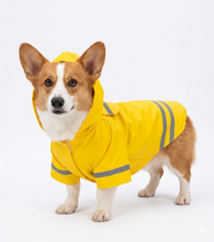 Cargar imagen en el visor de la galería, Impermeable Para Perro Con Capucha Y Tira Reflectante Gato
