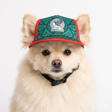 Cargar imagen en el visor de la galería, Gorra Mexico Para Mascota Seleccion Mexicana Mundial 2026 Perro o Gato
