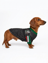 Cargar imagen en el visor de la galería, Playera Seleccion Mexico Perro Jersey Mundial 2026 Gato Md2
