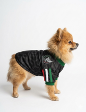 Cargar imagen en el visor de la galería, Playera Seleccion Mexico Perro Jersey Mundial 2026 Gato Md2
