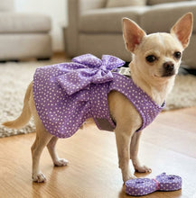 Cargar imagen en el visor de la galería, Vestido Con arnes y correa para Mascota Ropa para Perros y gatos
