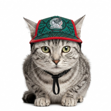 Cargar imagen en el visor de la galería, Gorra Mexico Para Mascota Seleccion Mexicana Mundial 2026 Perro o Gato
