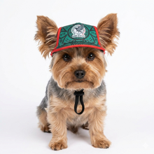 Cargar imagen en el visor de la galería, Gorra Mexico Para Mascota Seleccion Mexicana Mundial 2026 Perro o Gato
