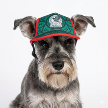 Cargar imagen en el visor de la galería, Gorra Mexico Para Mascota Seleccion Mexicana Mundial 2026 Perro o Gato
