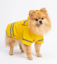 Cargar imagen en el visor de la galería, Impermeable Para Perro Con Capucha Y Tira Reflectante Gato
