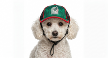 Cargar imagen en el visor de la galería, Gorra Mexico Para Mascota Seleccion Mexicana Mundial 2026 Perro o Gato
