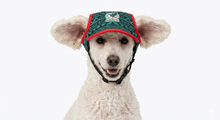 Cargar imagen en el visor de la galería, Gorra Mexico Para Mascota Seleccion Mexicana Mundial 2026 Perro o Gato
