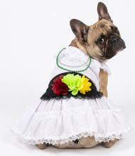 Cargar imagen en el visor de la galería, Disfraz Vestido Jarocha Veracruzana Mexicano Para Mascota Perro Gato Fiestas Patrias

