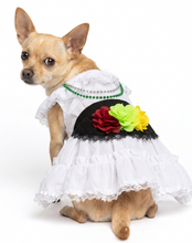 Cargar imagen en el visor de la galería, Disfraz Vestido Jarocha Veracruzana Mexicano Para Mascota Perro Gato Fiestas Patrias
