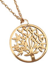 Cargar imagen en el visor de la galería, Collar Once Upon A Time Manzano Chip Disney Regina
