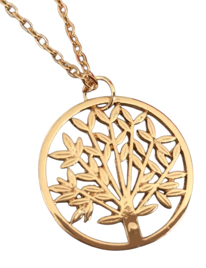 Collar Once Upon A Time Manzano Chip Disney Regina