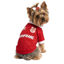 Cargar imagen en el visor de la galería, Playera Toluca Jersey Para Mascota Perro o Gato Futbol
