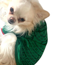 Cargar imagen en el visor de la galería, Playera Seleccion Mexicana Perro Jersey Mundial 2026
