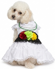 Cargar imagen en el visor de la galería, Disfraz Vestido Jarocha Veracruzana Mexicano Para Mascota Perro Gato Fiestas Patrias

