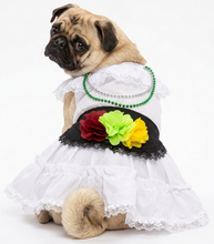 Cargar imagen en el visor de la galería, Disfraz Vestido Jarocha Veracruzana Mexicano Para Mascota Perro Gato Fiestas Patrias
